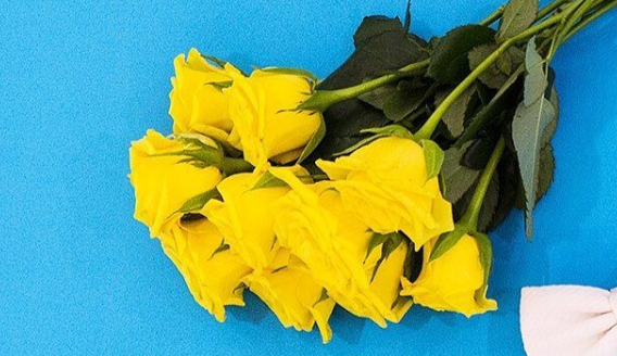 ブルーのバックに黄色いバラの花束
の写真